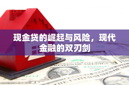 盐源现金贷的崛起与风险，现代金融的双刃剑