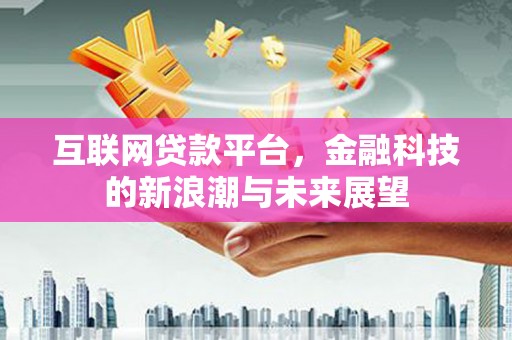 盐源互联网贷款平台，金融科技的新浪潮与未来展望