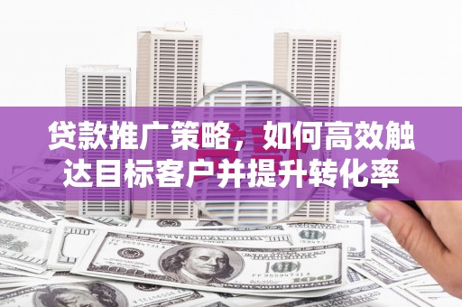 盐源贷款推广策略，如何高效触达目标客户并提升转化率
