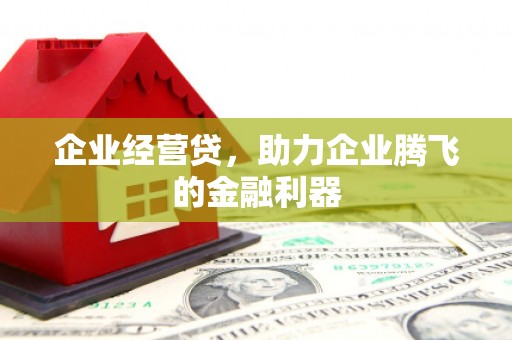 盐源企业经营贷，助力企业腾飞的金融利器