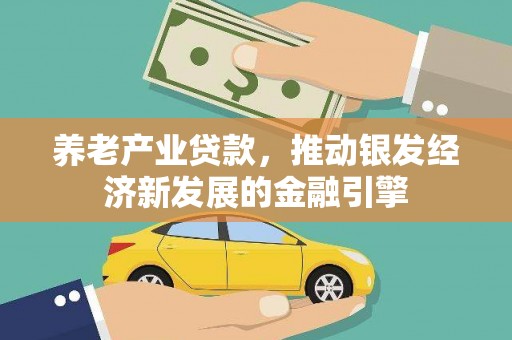 盐源养老产业贷款，推动银发经济新发展的金融引擎