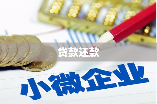 盐源贷款还款