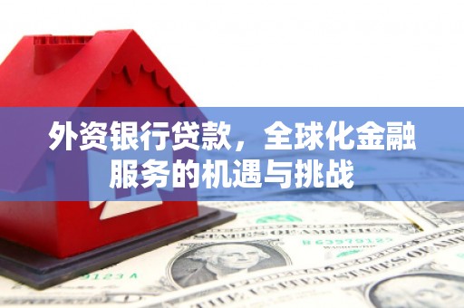 盐源外资银行贷款，全球化金融服务的机遇与挑战