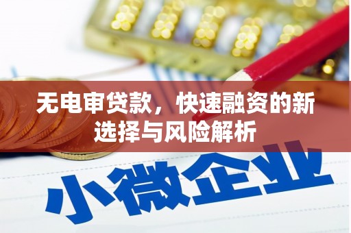 盐源无电审贷款，快速融资的新选择与风险解析