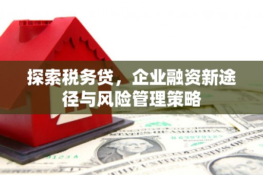 盐源探索税务贷，企业融资新途径与风险管理策略