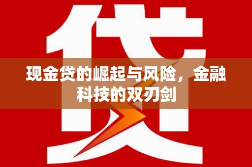 盐源现金贷的崛起与风险，金融科技的双刃剑
