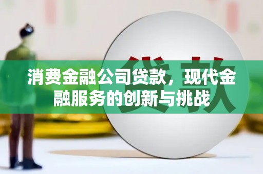 盐源消费金融公司贷款，现代金融服务的创新与挑战