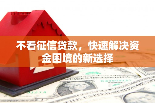 盐源不看征信贷款，快速解决资金困境的新选择