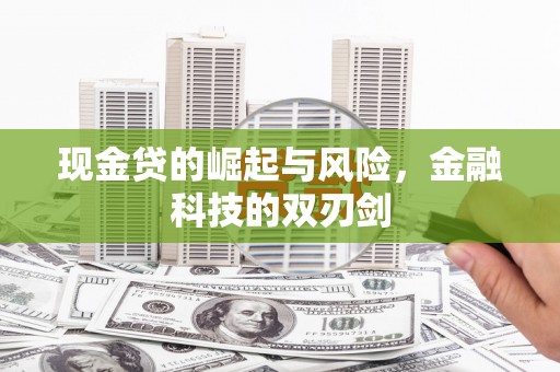 盐源现金贷的崛起与风险，金融科技的双刃剑