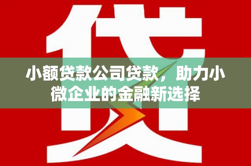 盐源小额贷款公司贷款，助力小微企业的金融新选择