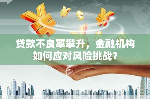 盐源贷款不良率攀升，金融机构如何应对风险挑战？