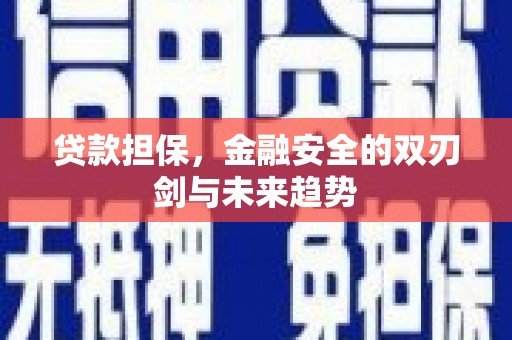 盐源贷款担保，金融安全的双刃剑与未来趋势