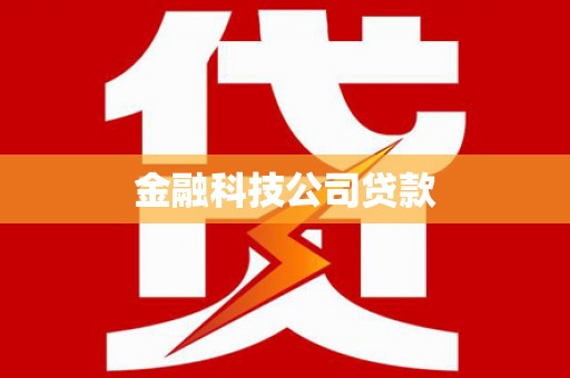 盐源金融科技公司贷款