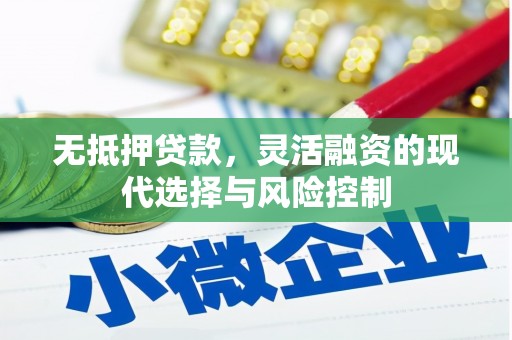 盐源无抵押贷款，灵活融资的现代选择与风险控制