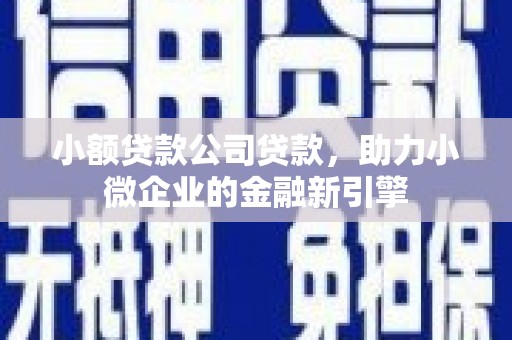 盐源小额贷款公司贷款，助力小微企业的金融新引擎