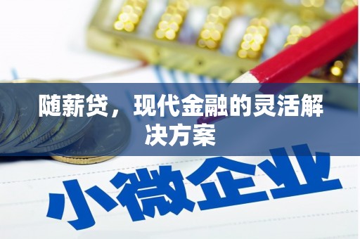 盐源随薪贷，现代金融的灵活解决方案