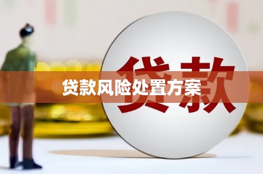 盐源贷款风险处置方案