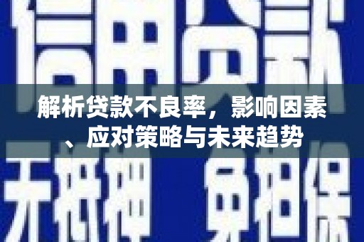 盐源解析贷款不良率，影响因素、应对策略与未来趋势