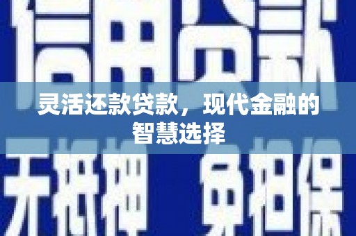 盐源灵活还款贷款，现代金融的智慧选择