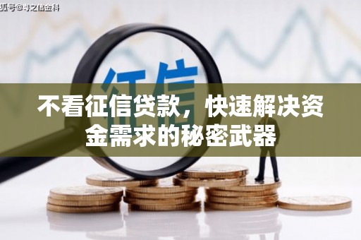 盐源不看征信贷款，快速解决资金需求的秘密武器