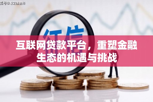 盐源互联网贷款平台，重塑金融生态的机遇与挑战