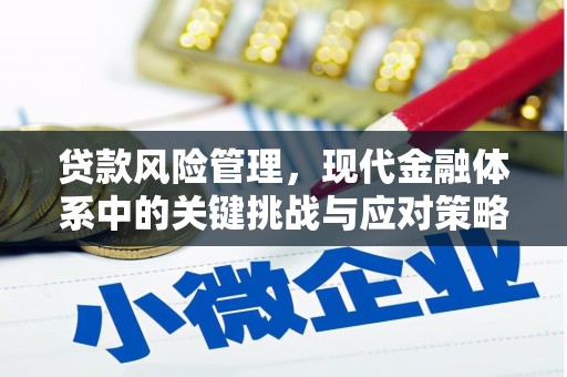 盐源贷款风险管理，现代金融体系中的关键挑战与应对策略