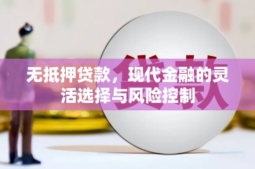 盐源无抵押贷款，现代金融的灵活选择与风险控制