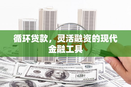盐源循环贷款，灵活融资的现代金融工具