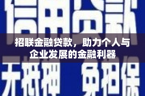 盐源招联金融贷款，助力个人与企业发展的金融利器