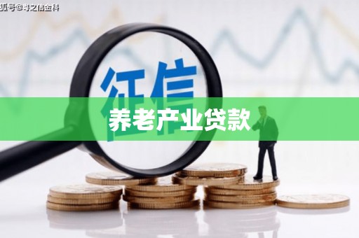 盐源养老产业贷款