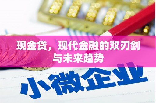 盐源现金贷，现代金融的双刃剑与未来趋势