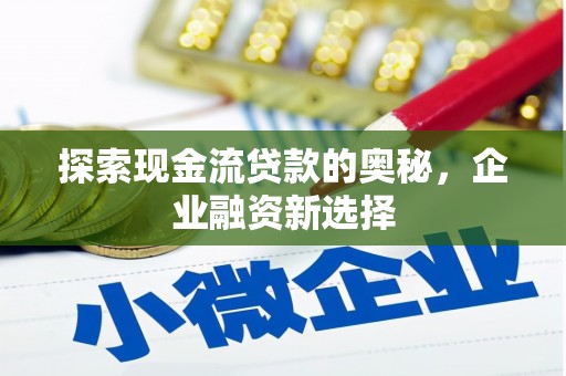 盐源探索现金流贷款的奥秘，企业融资新选择