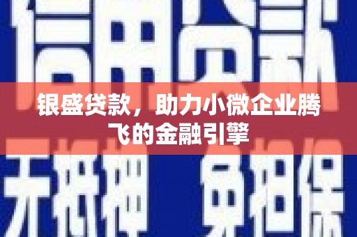 盐源银盛贷款，助力小微企业腾飞的金融引擎