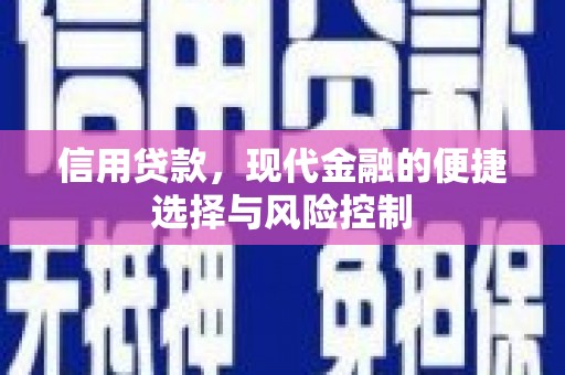 盐源信用贷款，现代金融的便捷选择与风险控制
