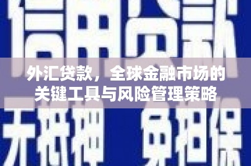 盐源外汇贷款，全球金融市场的关键工具与风险管理策略