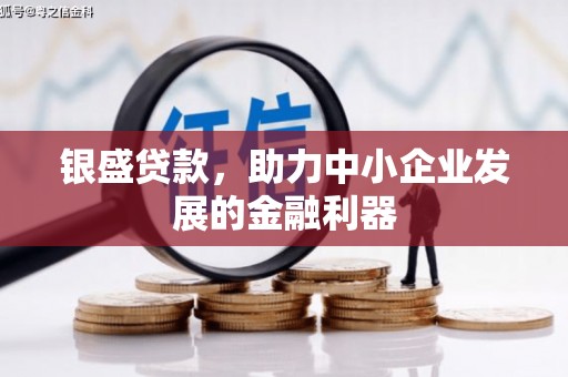 盐源银盛贷款，助力中小企业发展的金融利器