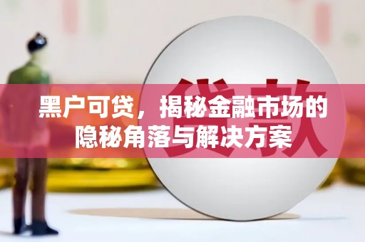 盐源黑户可贷，揭秘金融市场的隐秘角落与解决方案