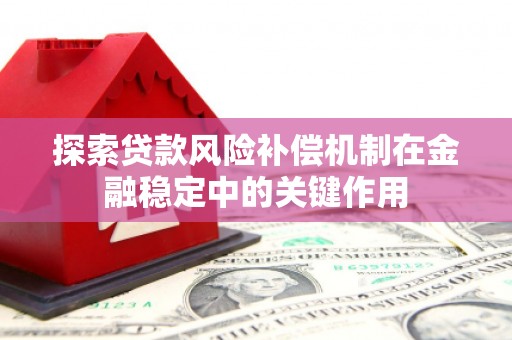 盐源探索贷款风险补偿机制在金融稳定中的关键作用