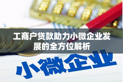 盐源工商户贷款助力小微企业发展的全方位解析