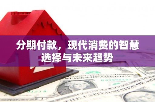 盐源分期付款，现代消费的智慧选择与未来趋势