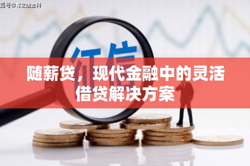 盐源随薪贷，现代金融中的灵活借贷解决方案