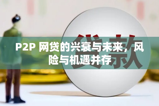 盐源P2P 网贷的兴衰与未来，风险与机遇并存