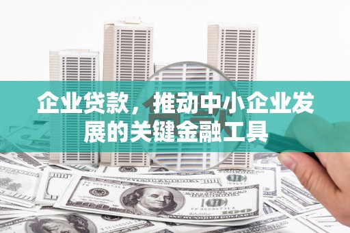 盐源企业贷款，推动中小企业发展的关键金融工具