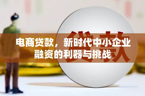 盐源电商贷款，新时代中小企业融资的利器与挑战