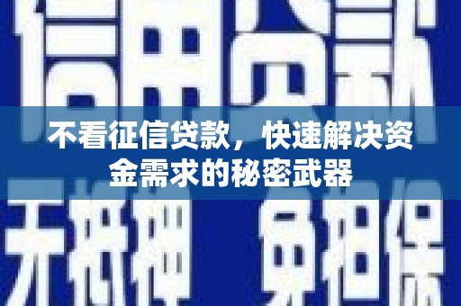 盐源不看征信贷款，快速解决资金需求的秘密武器