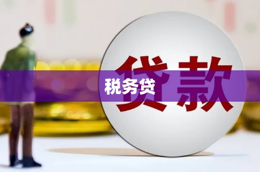 盐源税务贷