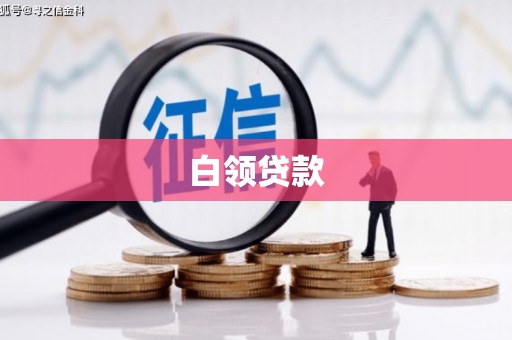 盐源白领贷款