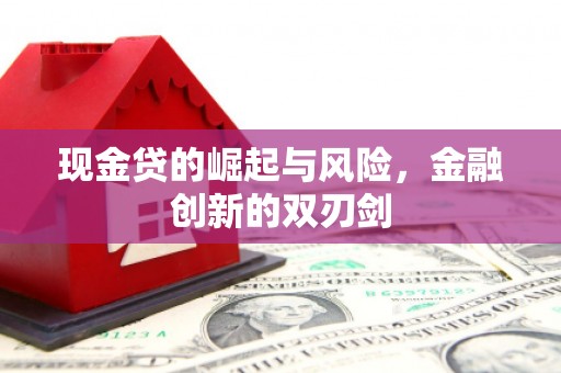 盐源现金贷的崛起与风险，金融创新的双刃剑