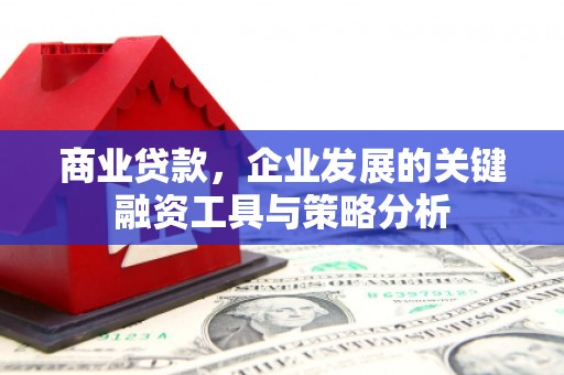 盐源商业贷款，企业发展的关键融资工具与策略分析