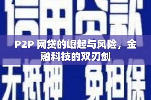 盐源P2P 网贷的崛起与风险，金融科技的双刃剑